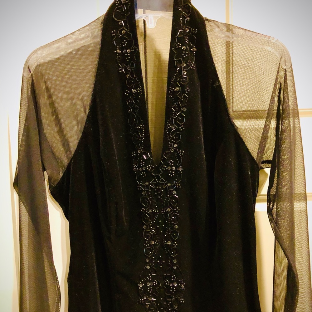 Evening Velvet & see through sleeves blouse!!!